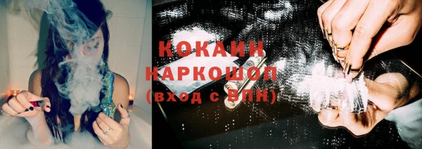 гидропоника Алзамай