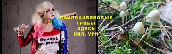 ешки Карпинск