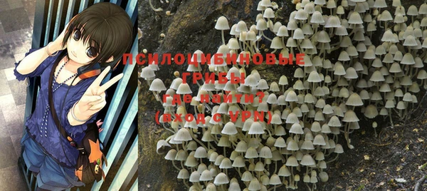 МДПВ Абинск