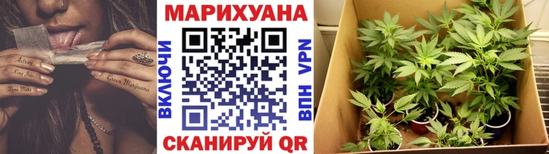 Канабис план  купить  цена  Раменское 